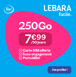 Lebara 250 gigas infos produit